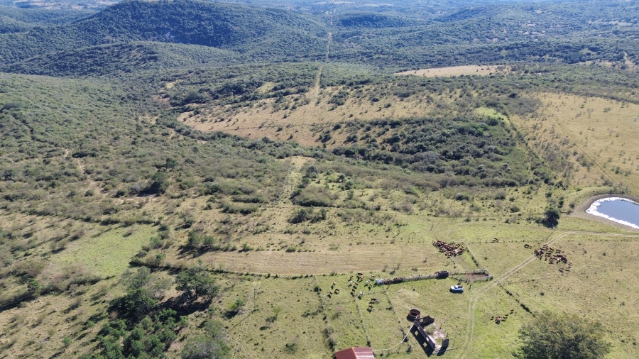 Commercial Property for Sale in Komga Eastern Cape